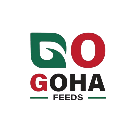Goha International